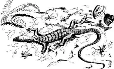 Изумрудный, или Зеленый, варан Varanus prasinus Изумрудный, или Зеленый, варан Varanus prasinusИзумрудный, или Зеленый, варан Varanus prasinus